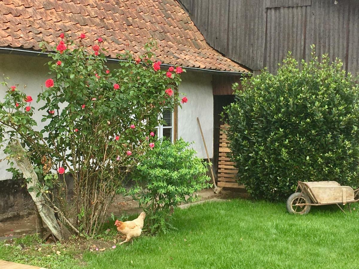 La Fermette De Jules Guest House Fressin Eksteriør bilde